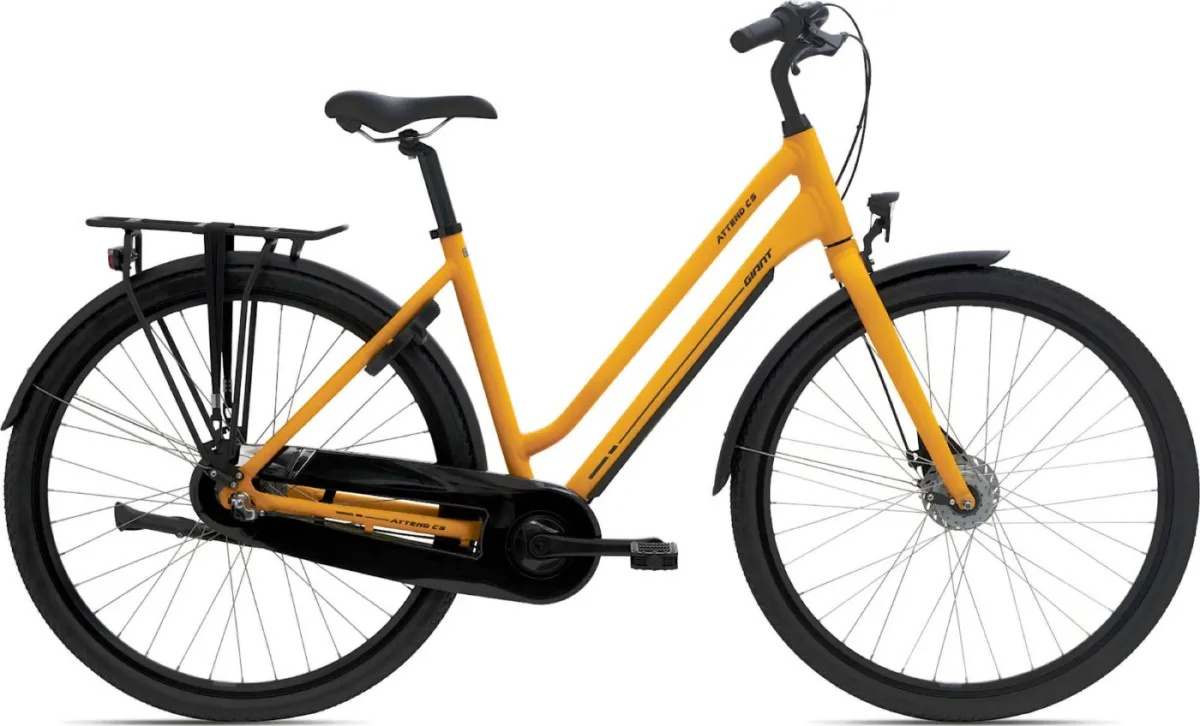 Attend CS 3 LDS GB L Beesw